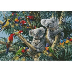 Koala Outback (Large) (Steve Read)