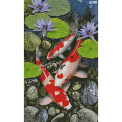 Koi Pond (Large) (Howard Robinson)