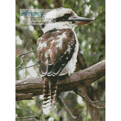 Kookaburra (Oz Photo)