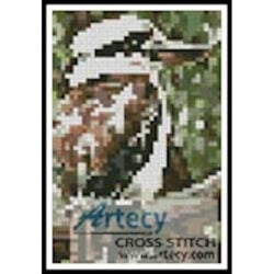 Kookaburra Card (OzPhoto)