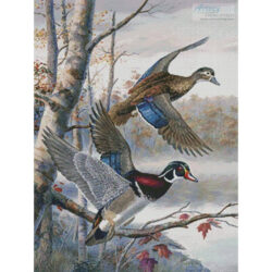 Lakeside Wood Ducks (Randy McGovern)