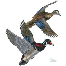 Lakeside Wood Ducks (No Background) (Randy McGovern)