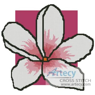 Large Pink Frangipani