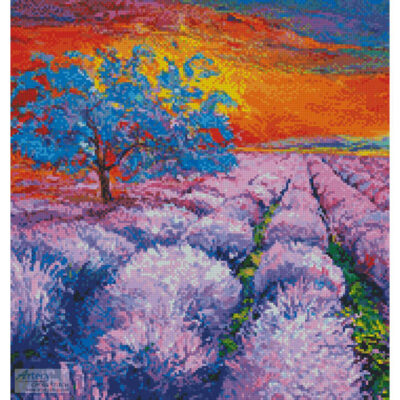 Lavender Field at Sunset (Crop) (Boyan Dimitrov)