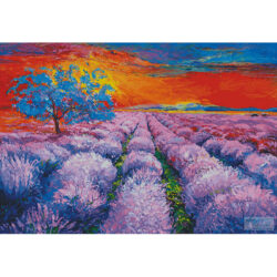 Lavender Field at Sunset (Large) (Boyan Dimitrov)