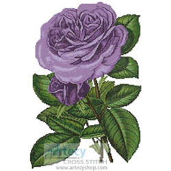 Lavender Roses Print (antique print)
