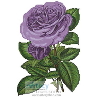 Lavender Roses Print (antique print)
