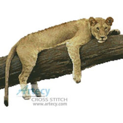 Lazy Lioness (www.photos.com)