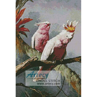 Leadbeater Cockatoos (Art Renewal Centre)