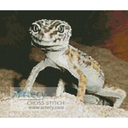 Leopard Gecko