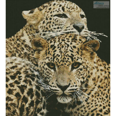 Leopards (Eric Gevaert / Alamy)