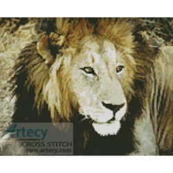 Lion 4