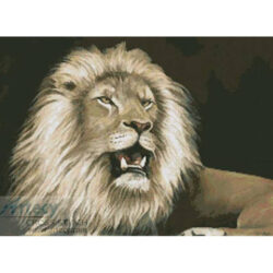 Lion 5 (www.liquidlibrary.com)