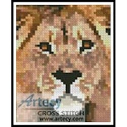 Lion Card