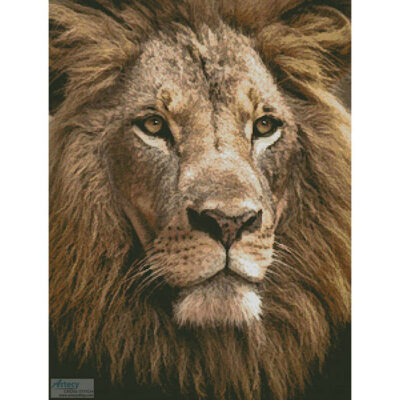 Lion Close up (Luke Tanis)