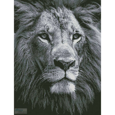 Lion Close up (Black and White) (Luke Tanis)