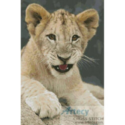 Lion Cub 3 (Greg Da Silva - Image Vortex)