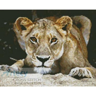 Lioness 2