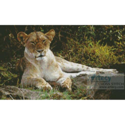 Lioness 3 (Ken Stansell from USWFS)