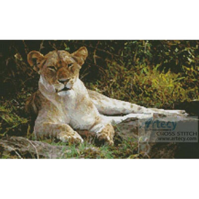 Lioness 3 (Ken Stansell from USWFS)