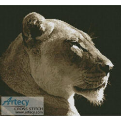 Lioness Profile (www.photorack.net)