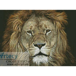 Lion Face 2 (www.photostogo.com)