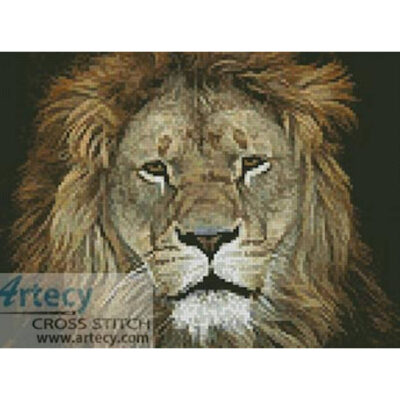 Lion Face 2 (www.photostogo.com)