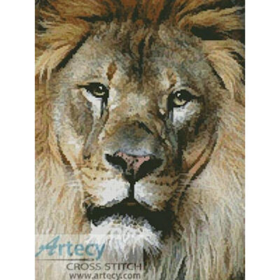 Lion Face (Jeremy Henderson)
