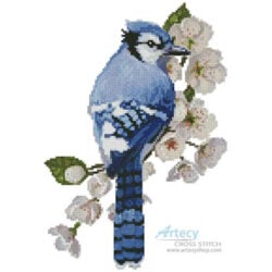 Little Blue Jay (Claire Harkness)