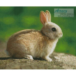 Little Rabbit (Amana Images - Corbis)