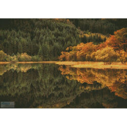 Loch Chon in Autumn (Billy Pickett Photography)