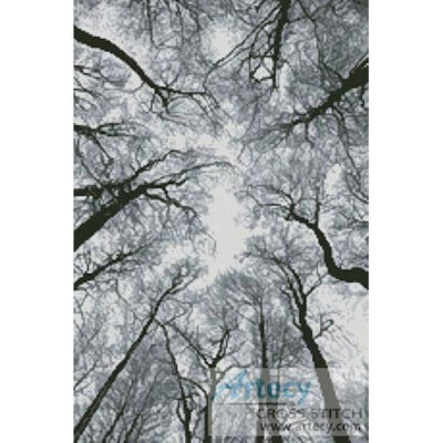 Looking up at Winter Trees (Peter Adams - Corbis)