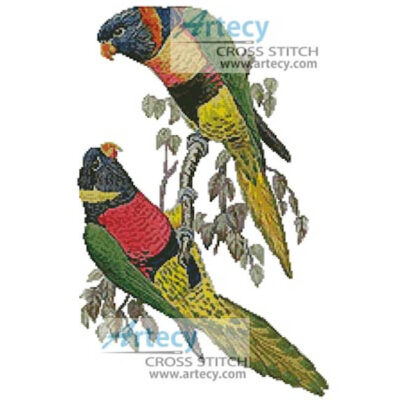 Red Collared and Fosters Lorikeets (Fine Rare Prints)