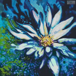 Lotus (Laura Zollar)