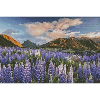 Lupins (Gerhard Zwerger Schoner - Corbis)