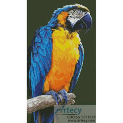 Macaw (Aviron, Image Vortex)