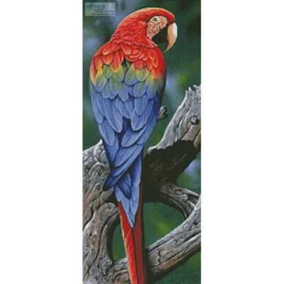 Scarlet Macaw Painting (Jerry Gadamus)