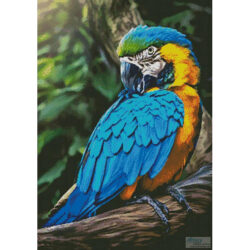 Macaw Profile (Surya Dharma)