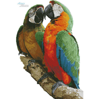 Macaws Photo (H G Rose - Fotolia)