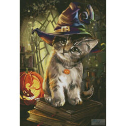 Magic Cat (Kajenna - Fotolia)