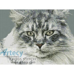 Maine Coon Cat (www.photostogo.com)
