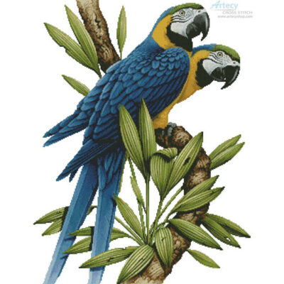 Majestic Macaws (Howard Robinson)