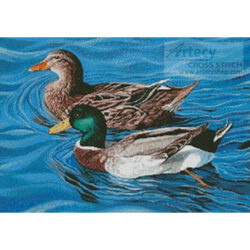 Mallards (Mike Bennett)
