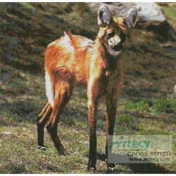 Maned Wolf