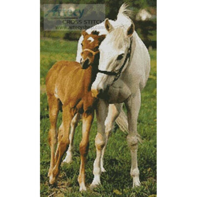 Mare and Foal Photo (Amana Images - Corbis)