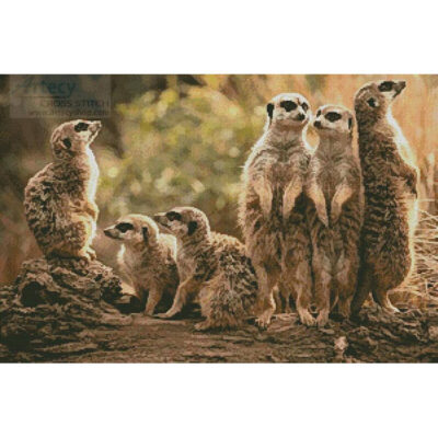 Meerkat Family (Hotblack)