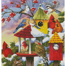 Meeting at the Bird Feeder (Crop) (Nancy Wernersbach)