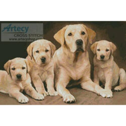 Golden Retrievers (Greg Cuddiford)