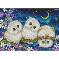 Midnight Adventure (Kayomi Harai)