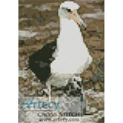Mini Albatross